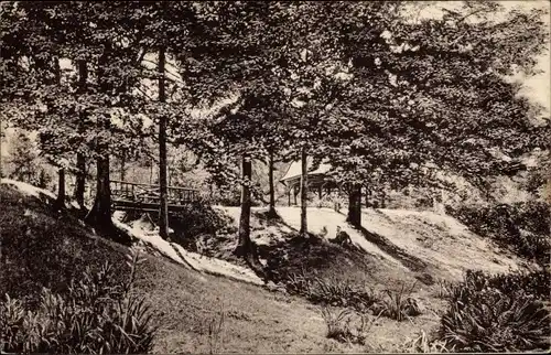 Ak Chemnitz in Sachsen, Partie im Küchwald