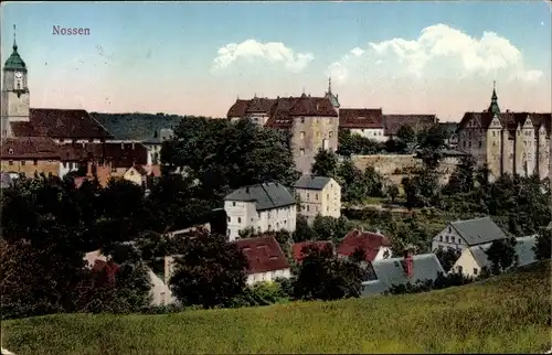 Ak Nossen in Sachsen, Panorama, Kirchturm