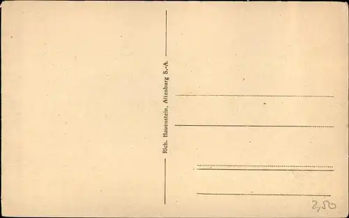 Ak Borna in Sachsen, Panorama