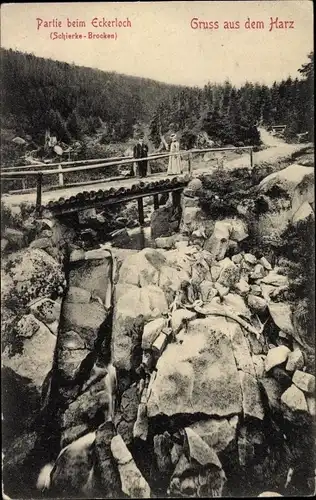 Ak Schierke Wernigerode am Harz, Brocken, Partie beim Eckerloch