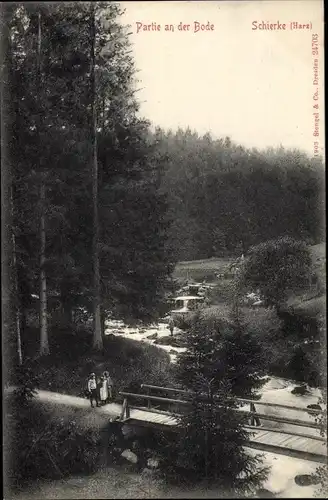 Ak Schierke Wernigerode am Harz, Partie an der Bode