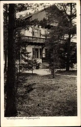 Ak Schwepnitz in Sachsen, Waldheimat
