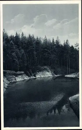 Ak Werdau an der Pleiße in Sachsen, Werdauer Wald, alter Steinbruch
