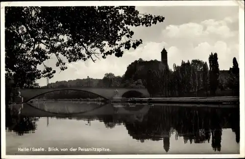 Ak Halle an der Saale, Blick von der Peissnitzspitze