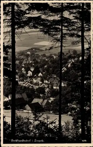 Ak Burkhardtsdorf im Erzgebirge Sachsen, Blick auf Ortschaft und Umgebung, Waldpartie