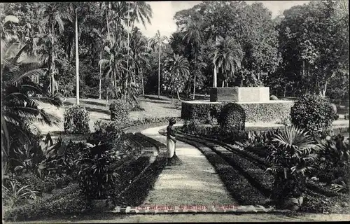 Ak Peradeniya Sri Lanka Ceylon, Botanic Gardens