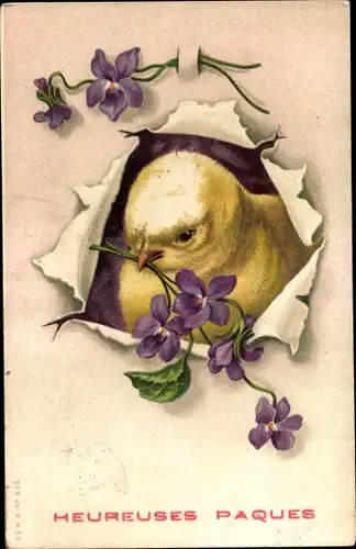 Litho Glückwunsch Ostern, Küken, Veilchen