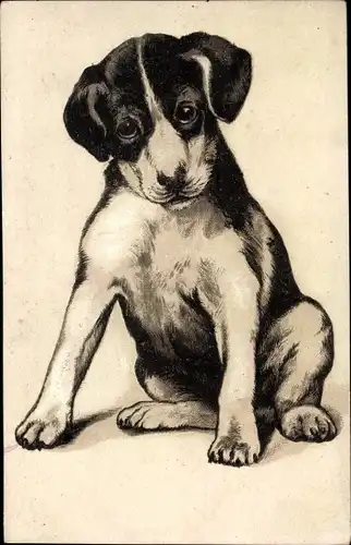 Präge Litho Hundewelpe, Hundeportrait, Welpe