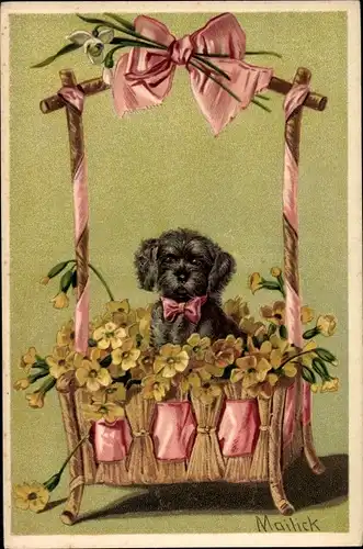 Künstler Präge Litho Mailick, Hund in einem Blumenkorb