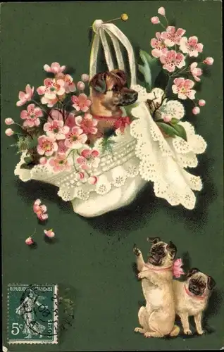 Ak Hunde beim Spiele,, Spitzenkappe