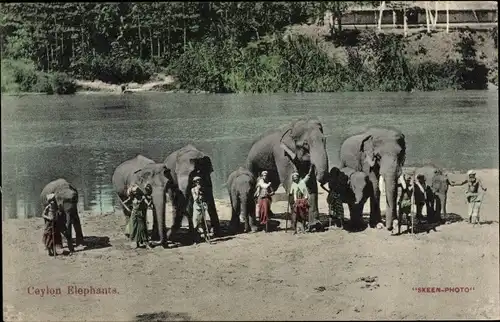 Ak Ceylon Sri Lanka, Ceylon Elephants