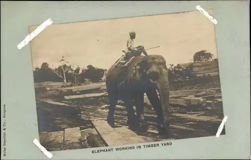 Ak Elefant bei der Arbeit im Holzlager