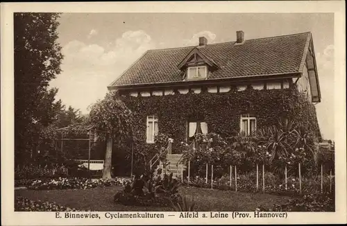 Ak Alfeld an der Leine, Cyclamenkulturen E. Binnewies, Gärtnerei, Autograph des Inhabers