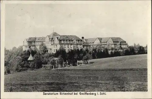 Ak Gryfów Śląski Greiffenberg Schlesien, Sanatorium Birkenhof, Außenansicht, Wiese