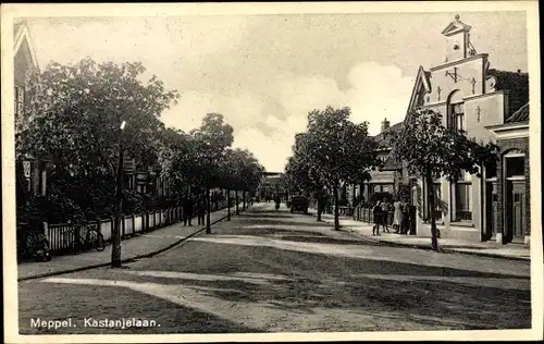Ak Meppel Drenthe Niederlande, Kastanjelaan