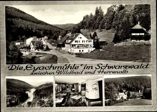 Ak Dobel im Schwarzwald, Eyachmühle, Blick ins Eyachtal