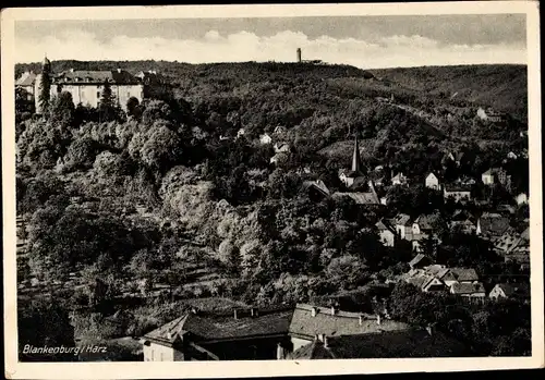 Ak Blankenburg am Harz, Ortsansicht, Burg