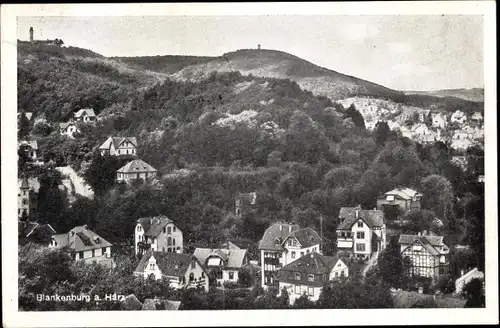 Ak Blankenburg am Harz, Gesamtansicht des Ortes