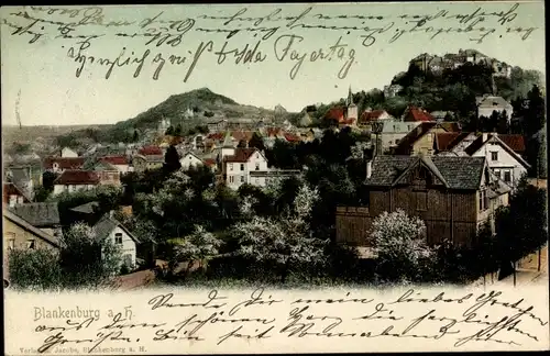 Ak Blankenburg am Harz, Ortsansicht