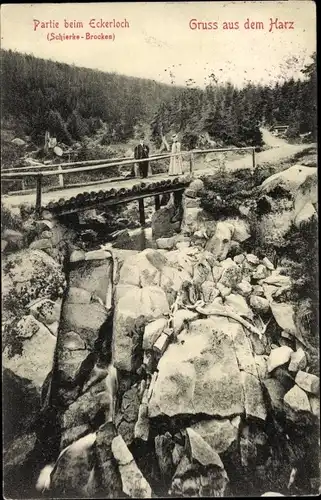 Ak Schierke Wernigerode am Harz, Brocken, Partie beim Eckerloch