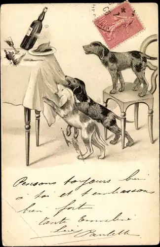 Ak Hunde reißen Tischdecke runter samt Gedeck