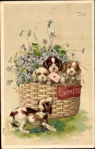 Präge Litho Drei Hundewelpen in einem Weidenkorb, Veilchenblüten, Express