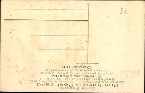 Präge Litho Drei Hundewelpen in einem Weidenkorb, Veilchenblüten, Express