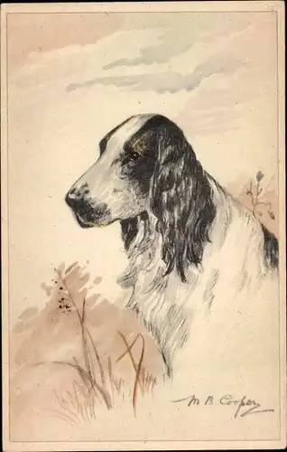 Künstler Ak Cooper, M. B., Spaniel, Hundeportrait, Langhaar
