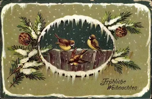 Präge Ak Frohe Weihnachten, Spatzen, Tannenzweig, Schnee