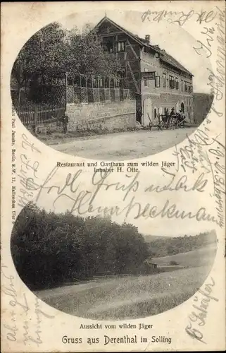 Ak Derental im Solling, Restaurant und Gasthaus zum wilden Jäger, Aussicht