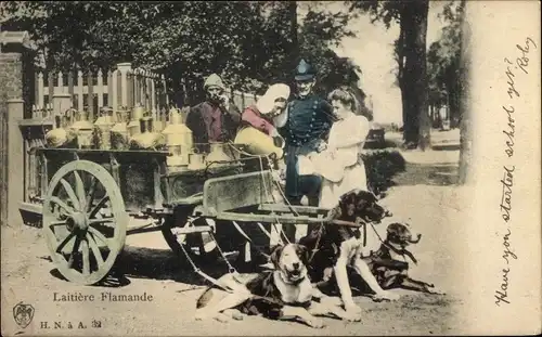 Ak Laitiere Flamande, Milchmädchen, Hundekarren