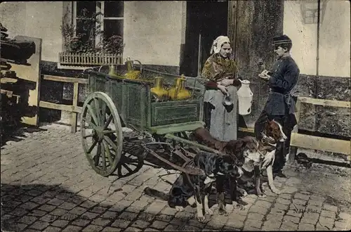 Ak Belgique, La laitière, Milchmädchen, Hundekarren