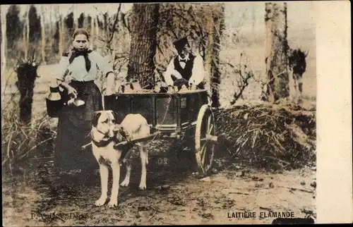Ak Laitiere Flamande, Milchmädchen, Hundekarren