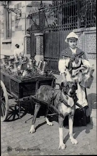 Ak Laitiere Flamande, Milchmädchen, Hundekarren