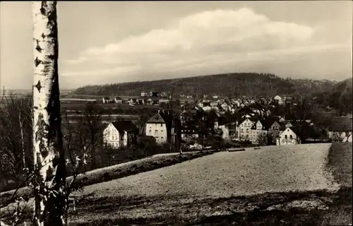 Ak Rödlitz Lichtenstein in Sachsen, Panorama