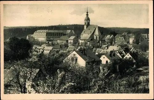 Ak Wechselburg in Sachsen, Gesamtansicht