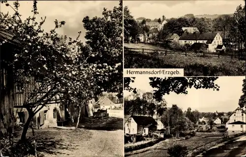 Ak Hermannsdorf Elterlein im Erzgebirge, Teilansichten, Wohnhäuser