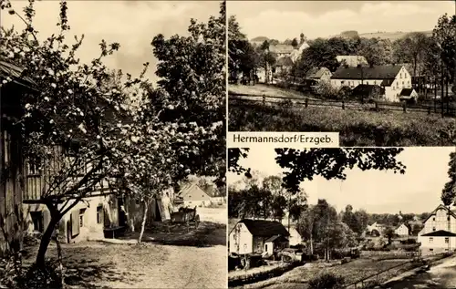 Ak Hermannsdorf Elterlein im Erzgebirge, Teilansichten, Wohnhäuser