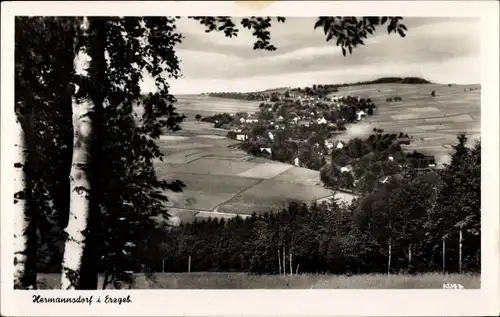 Ak Hermannsdorf Elterlein im Erzgebirge, Panorama