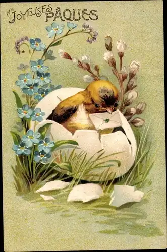 Präge Ak Glückwunsch Ostern, Küken in Eierschale, Vergissmeinnicht, Weidenkätzchen