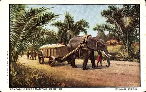 Ak Compagnie Belge Maritime du Congo, Attellage Original