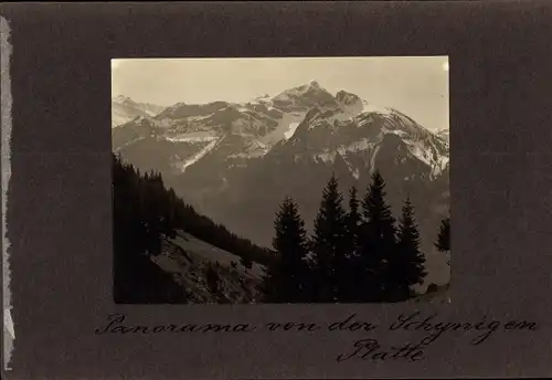 Foto Schynige Platte Kanton Bern, Alpenpanorama