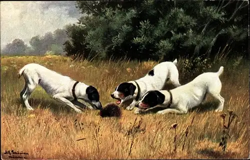 Künstler Ak Schönian, Terrier mit einem Igel