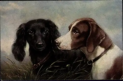 Künstler Ak Reinert, Zwei Hunde, Spaniel, Pointer