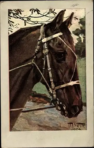 Künstler Ak Veit, M., Tierportrait, Pferd mit Zaumzeug
