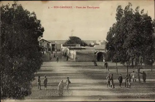 Ak Ben Gardane Tunesien, vue générale de la Place des Eucalyptes, Eukalyptusbäume