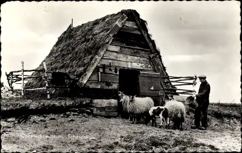 Ak Openluchtmuseum, Schaapskooi, Bauer, Schafe, Bauernhof