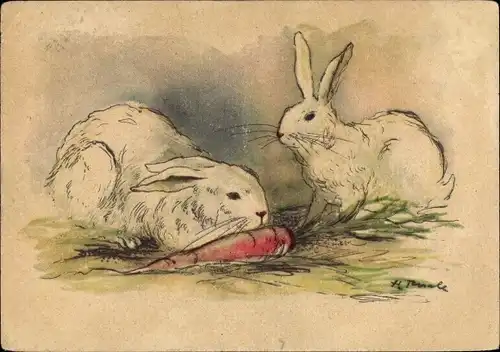 Künstler Ak Weiße Kaninchen essen Möhre