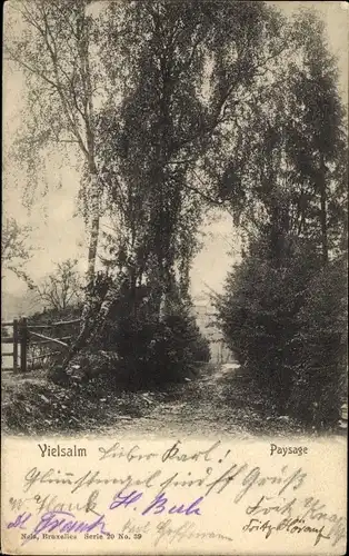 Ak Vielsalm Wallonien Luxemburg, Paysage