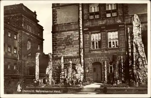 Ak Chemnitz in Sachsen, Versteinerter Wald, Städtisches Museum, Araukarienstämmen